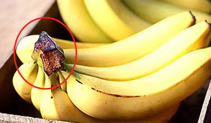 Never Throw Away This Part Of The Banana Heres Why Its Valued At Home (1)