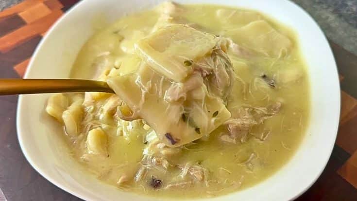 1 P15 Grandmas Easy Chicken N Dumplings Recipe 735x413 1