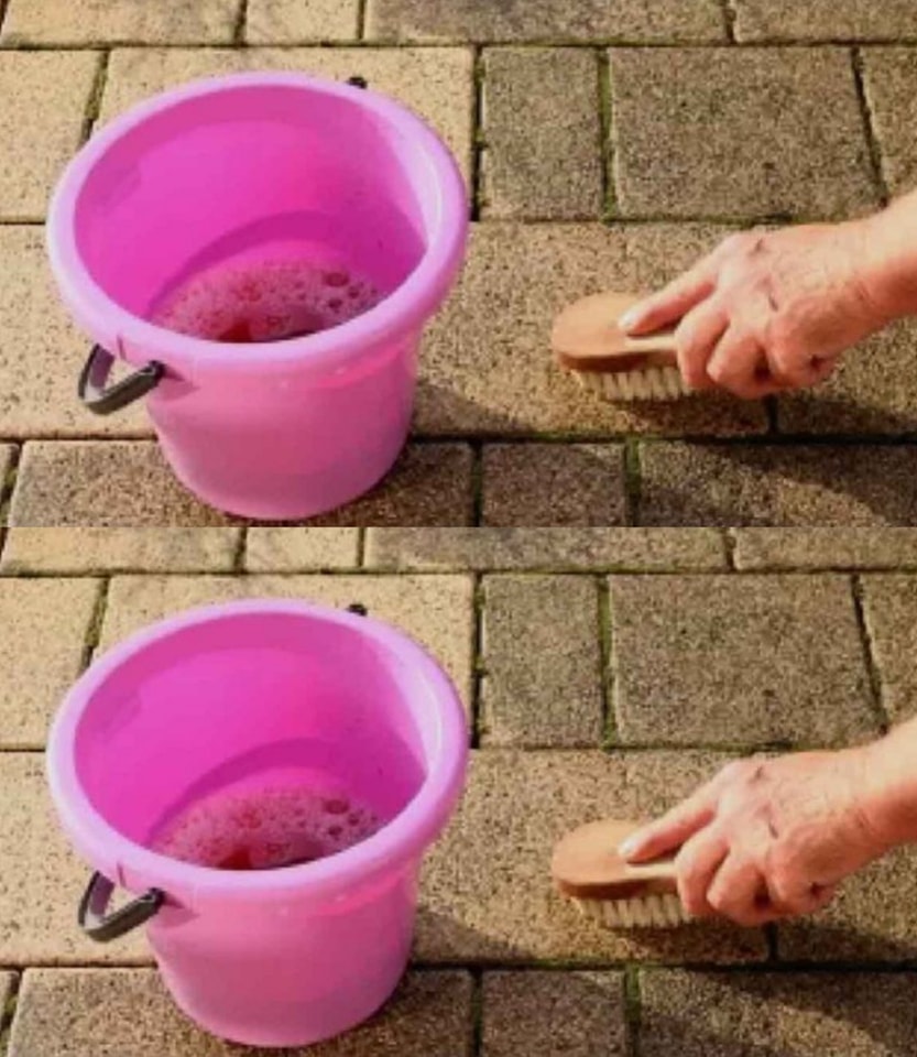 434092152 122178678608008179 3196246286254675542 N
