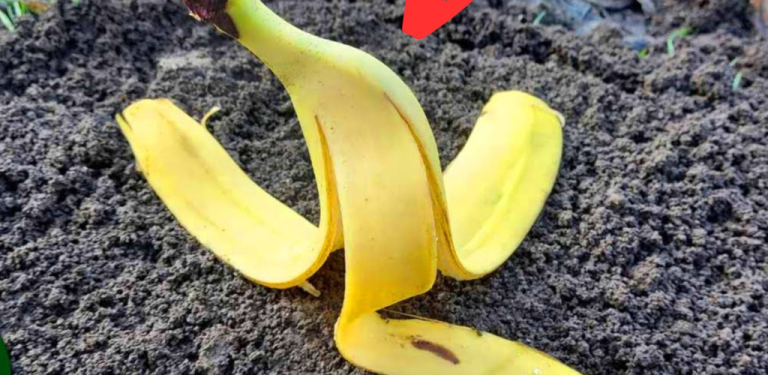 7 24 2