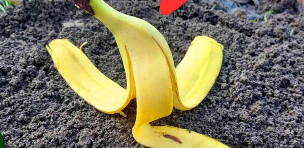 7 24 2