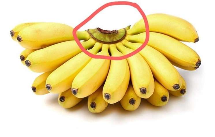 Dont Make The Mistake Of Throwing Away This Part Of The Banana