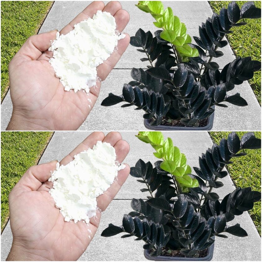 Gardening