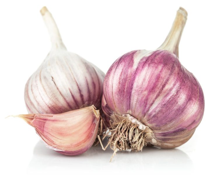 45218872 Fresh Garlic In Cut. Isolated On White Background