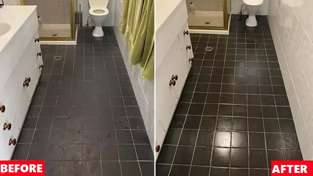 347428656 215005961484714 7550485625564437325 N 33 (1)