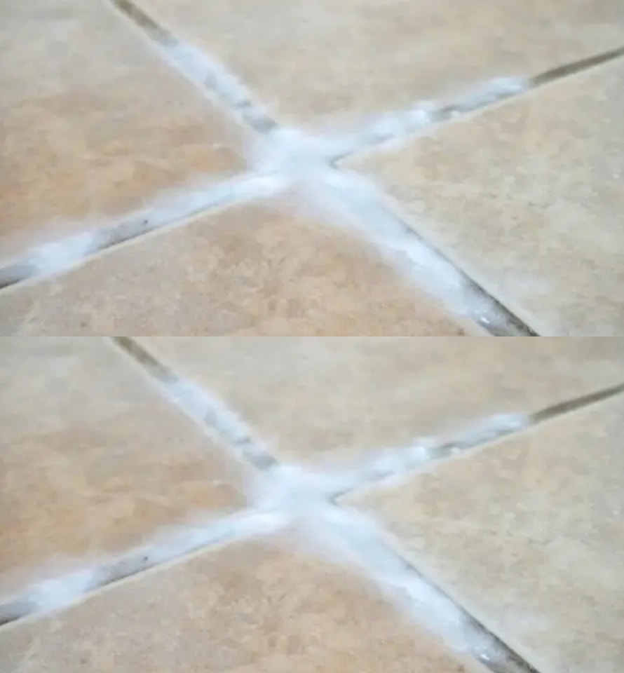 425781146 122120599460167199 4559119943454025555 N