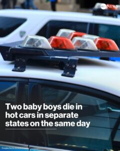 2 Baby Boys Die In Hot Cars In Separate States On Same Day 240x300