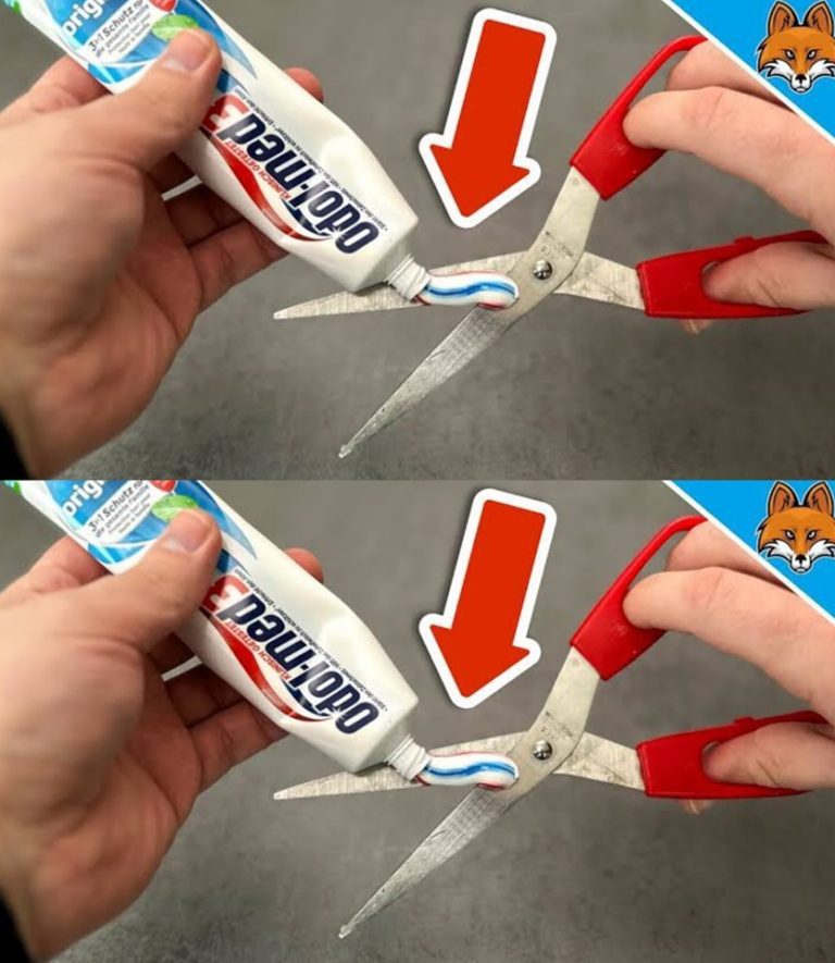 438165118 122191728536008179 3844449572191048508 N (2)