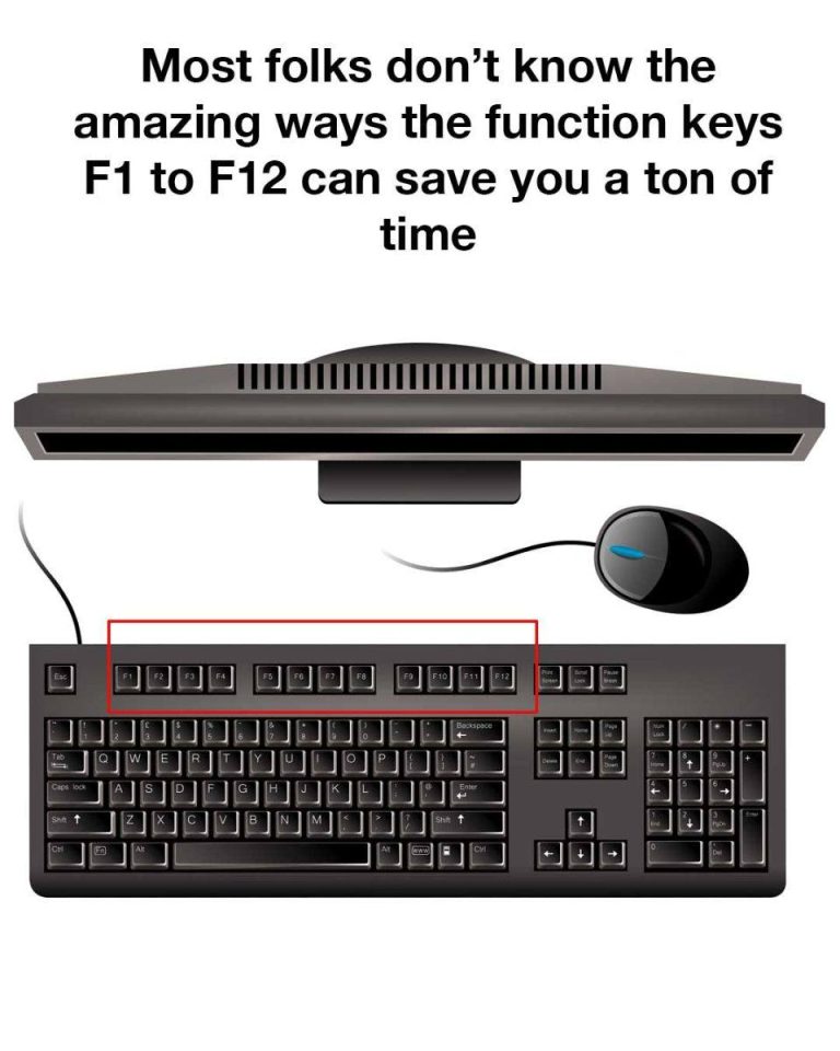 455523306 122166320018158074 6493276077673723328 N