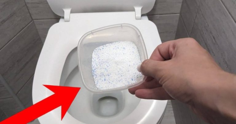 Toilet 950x500 (1)