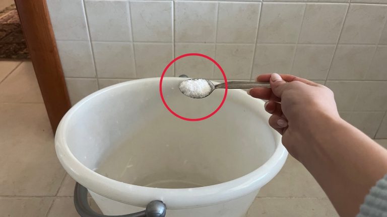 Trucco Imprese Di Pulizie (1)