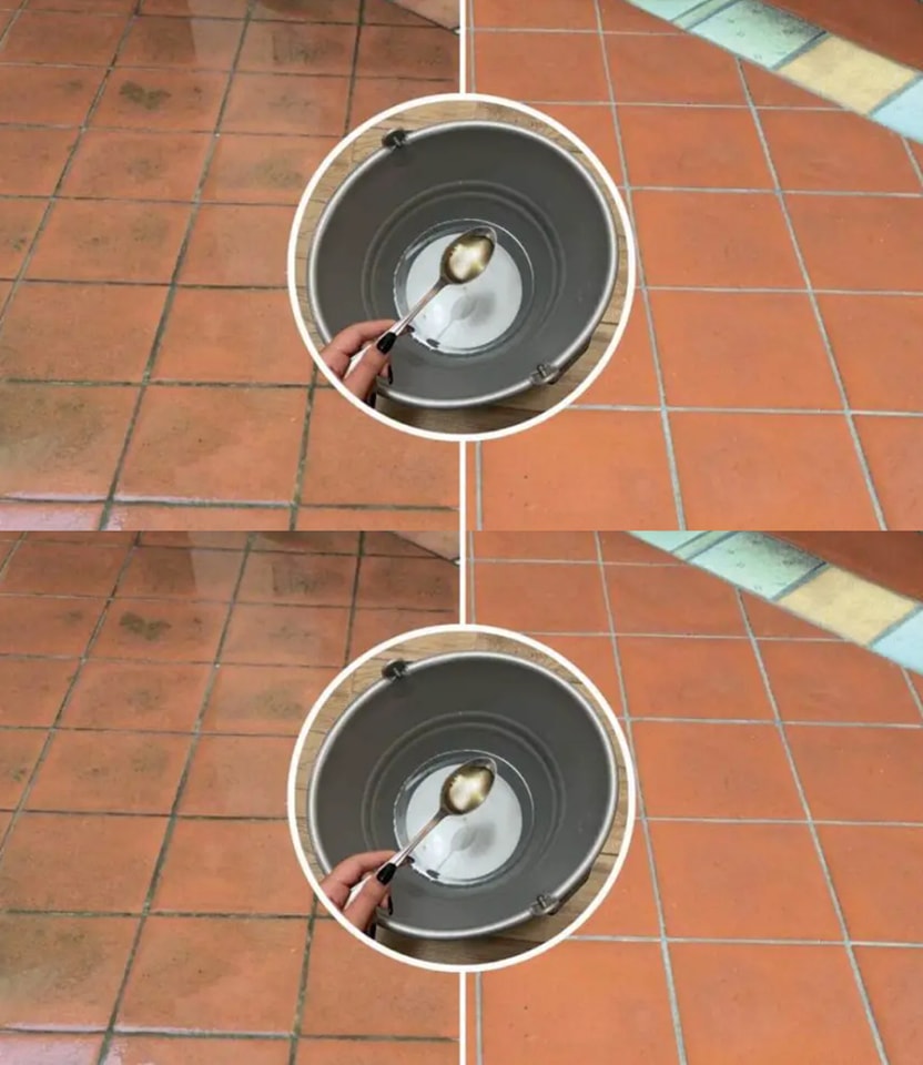 408960338 122158972502026096 7191642051347779324 N (1)