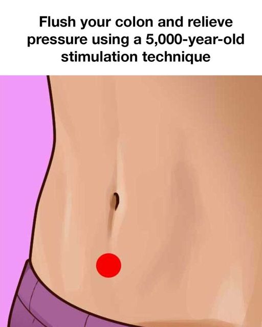 457048448 1032748728638088 4101166166991766146 N