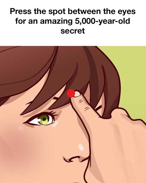 458993849 1039210381325256 8958677280976965965 N (1)