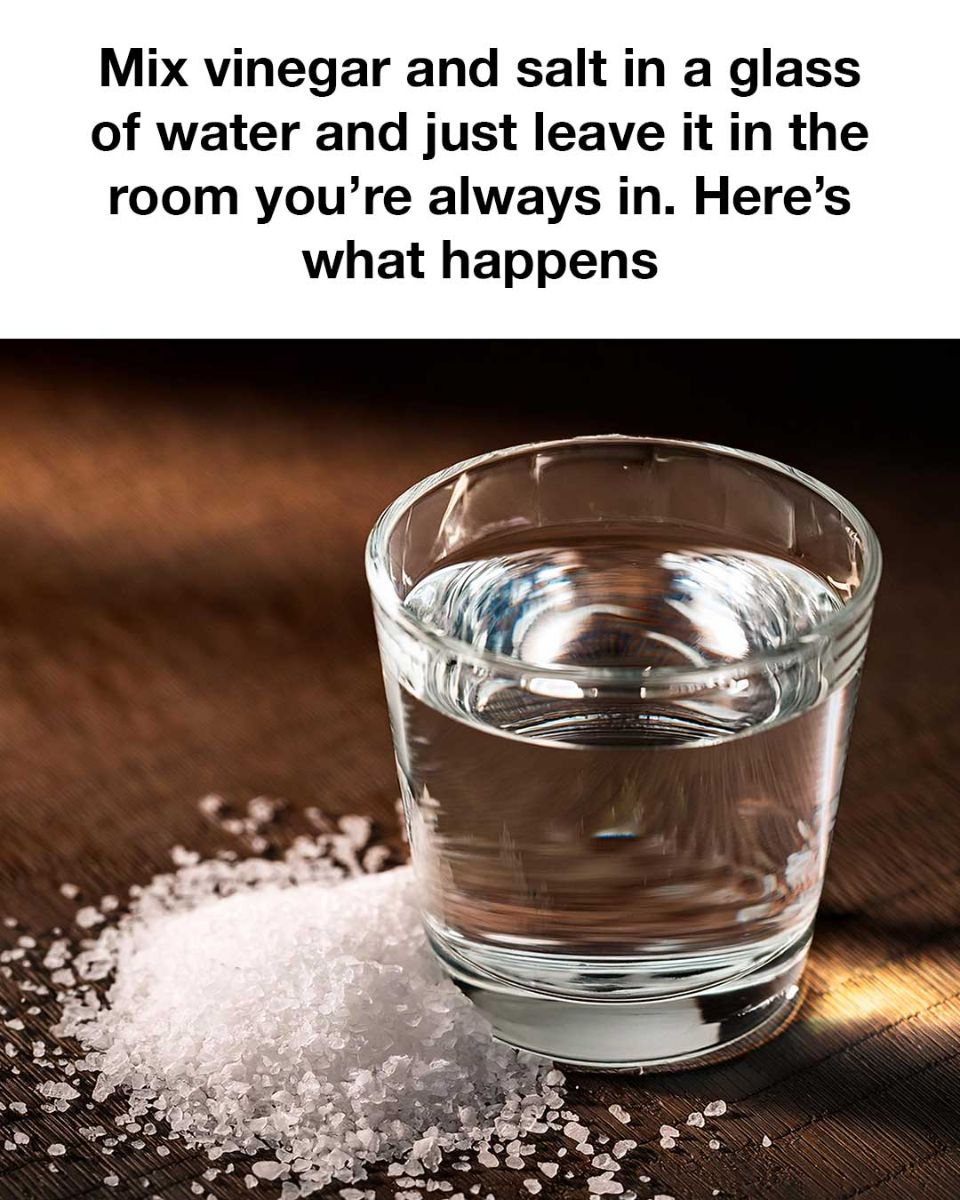 459875932 122114162576471695 4486485733750015380 N
