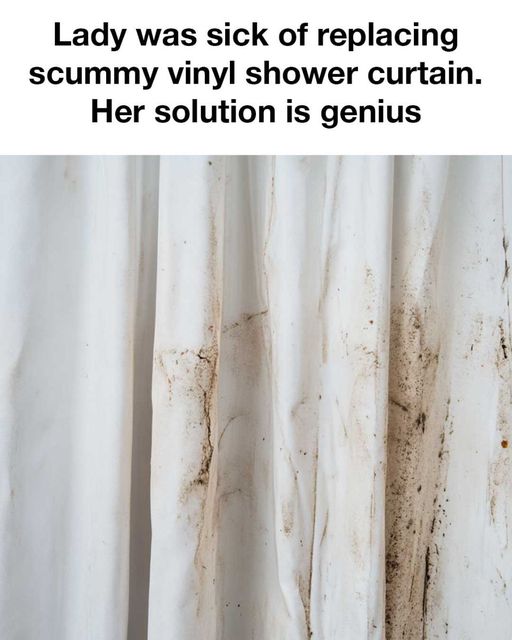 460337646 941848577986523 6747576831360272362 N (2)