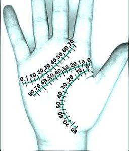 460535797 122132628572360667 1066436059365581302 N