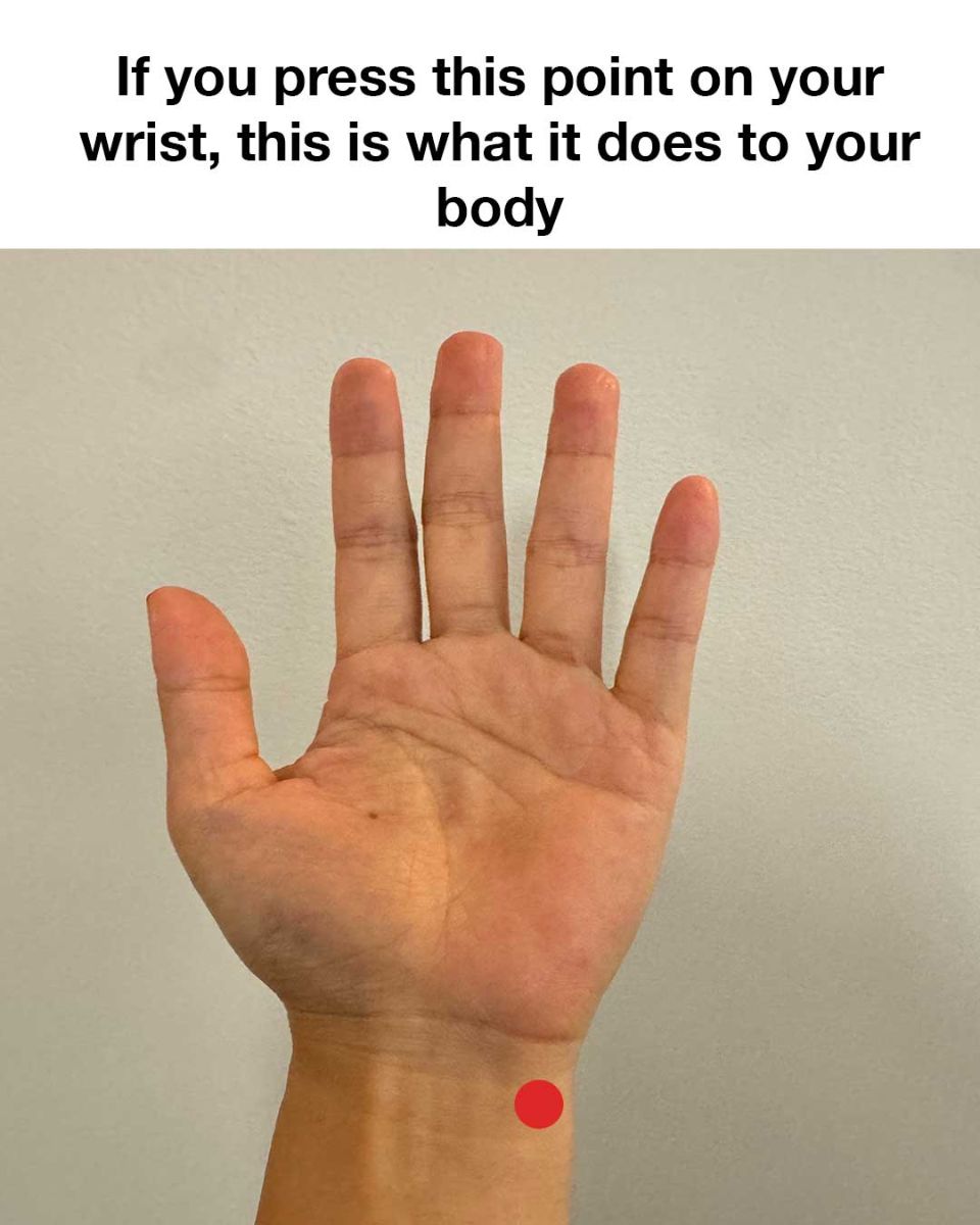 082e6a55438305c7e0e5ec0410e1b7d8 (1)