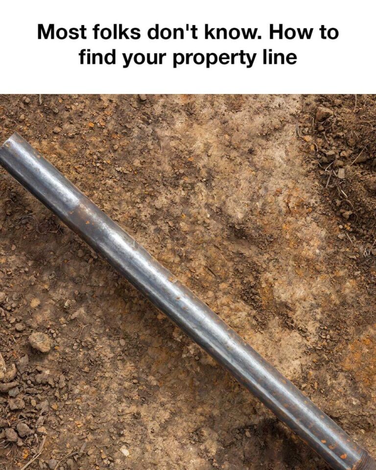459860949 1058556898969760 8039791392815499049 N