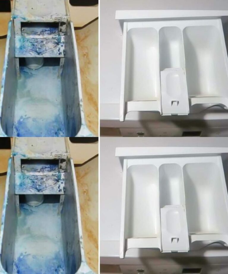 460530398 122172979562090941 3582608569595558904 N (1)
