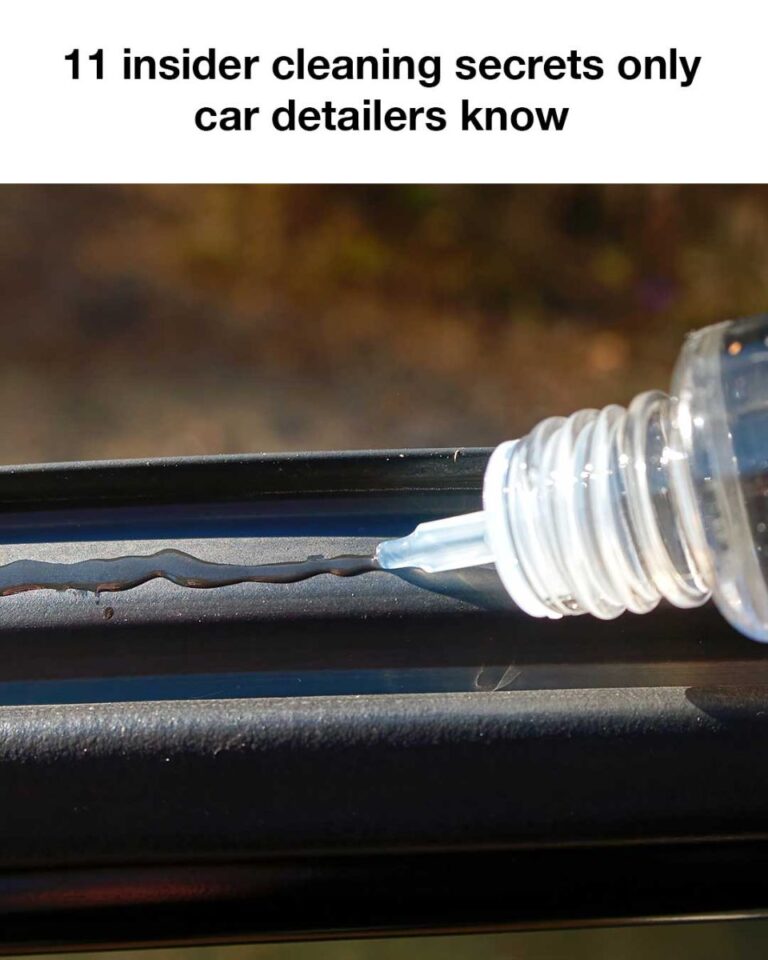 462769457 122111225660545478 4724874987501917204 N (1)