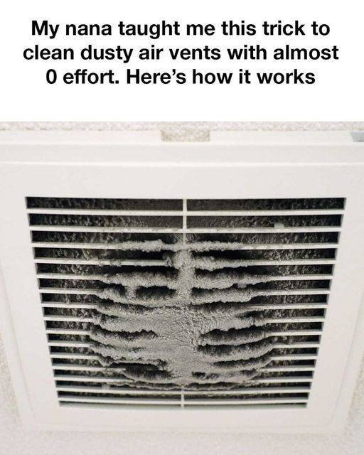 462804488 122155731512311876 4795455675109363198 N