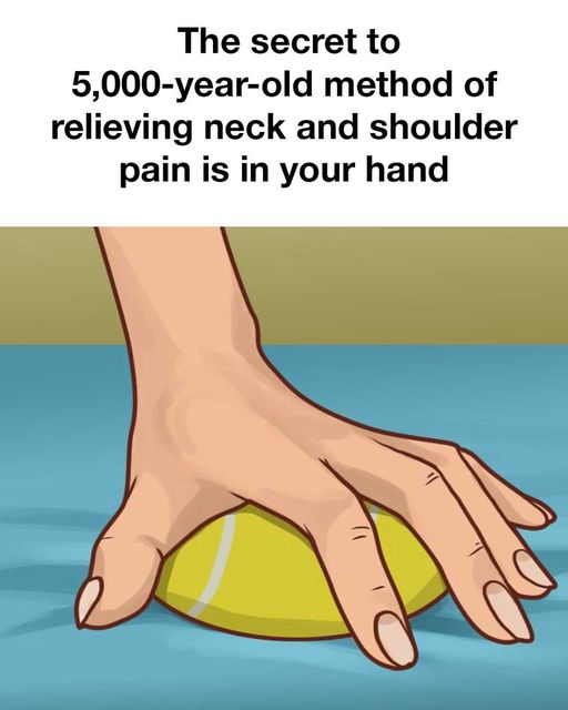 463094869 1066673238578970 821954809923061747 N