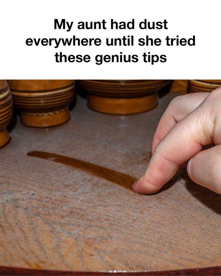 463138128 122156891258311876 4737525249768003593 N