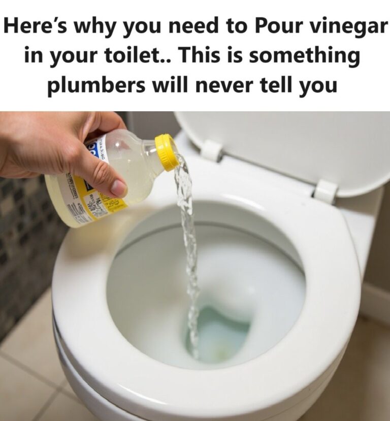 463365863 122139781862325090 3004107186722791094 N