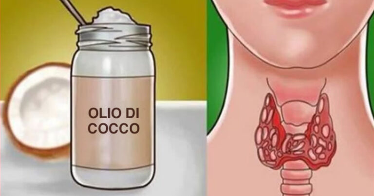 8 Benefici Olio Di Cocco
