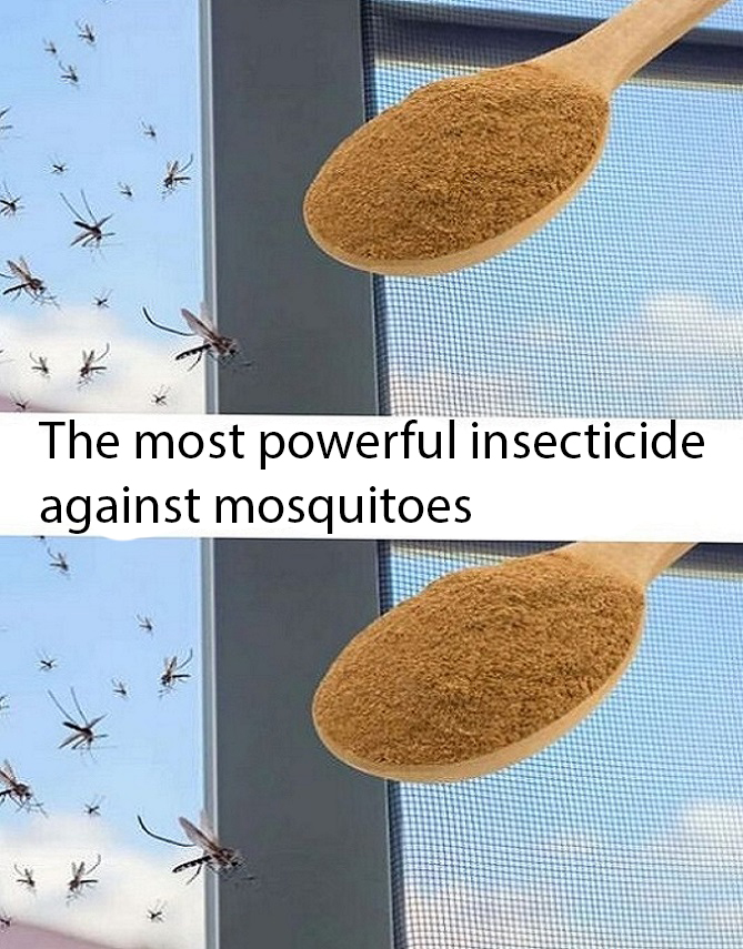 347428656 215005961484714 7550485625564437325 N 17 (5)