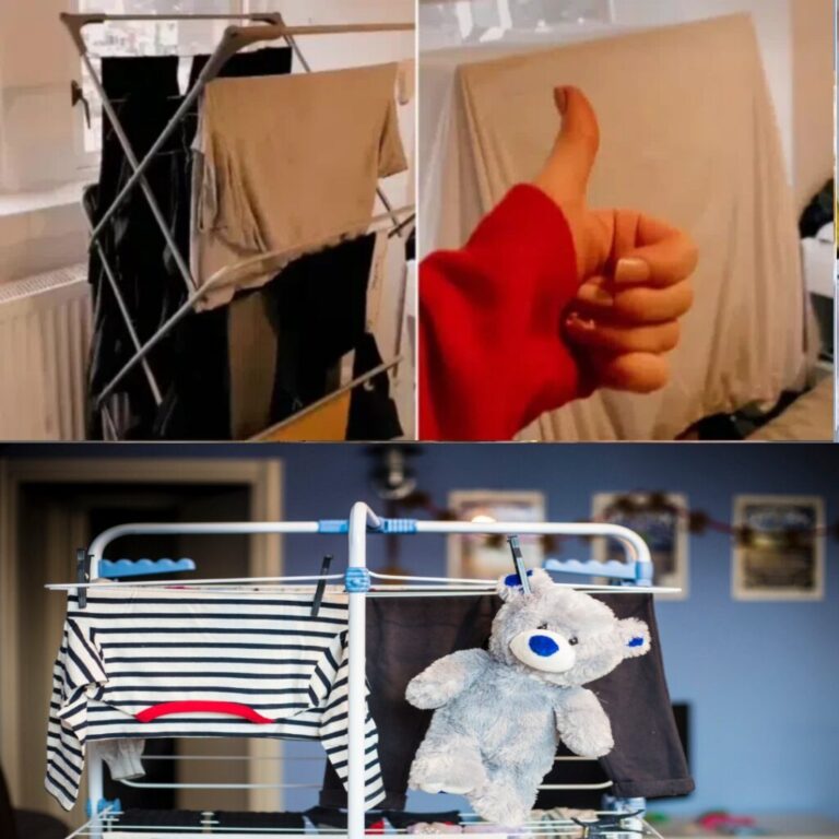 466153956 2358011707893208 6626745288580298006 N 1024x1024 (1)