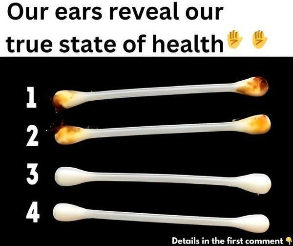 469456434 122130701828438370 6363768040763433806 N