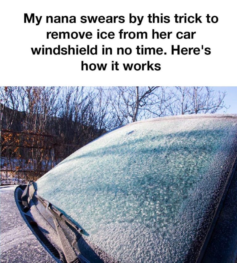473383749 122109858080706323 2676881933272315179 N