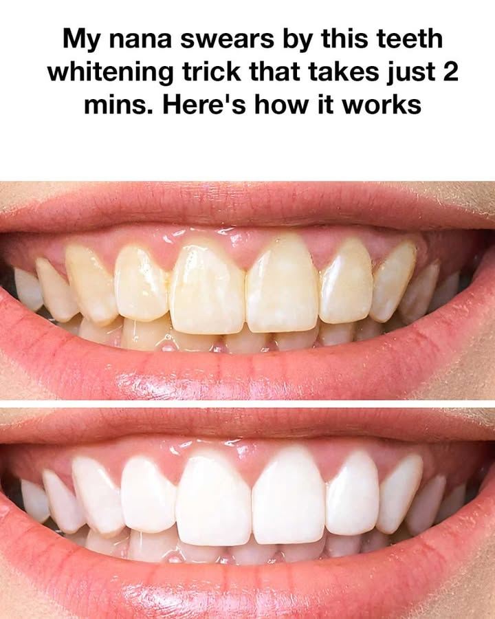 473698431 1343878489971500 1471057640975016332 N