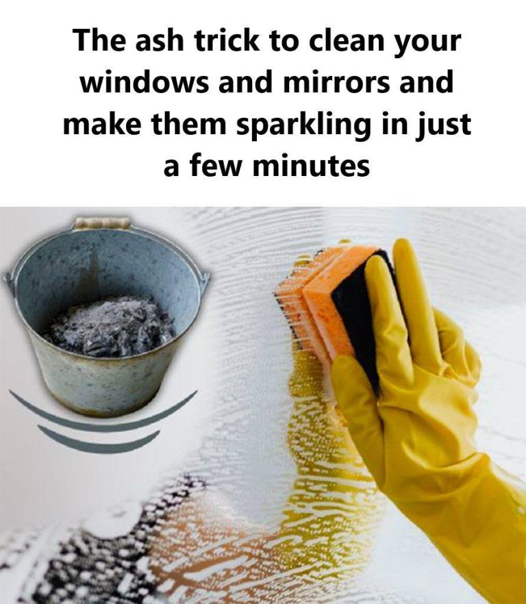 474373105 122109779534708301 2436272776498855895 N