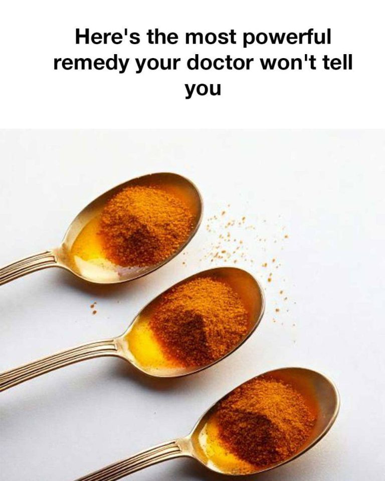 475849029 3804323496379694 3733447372255892058 N