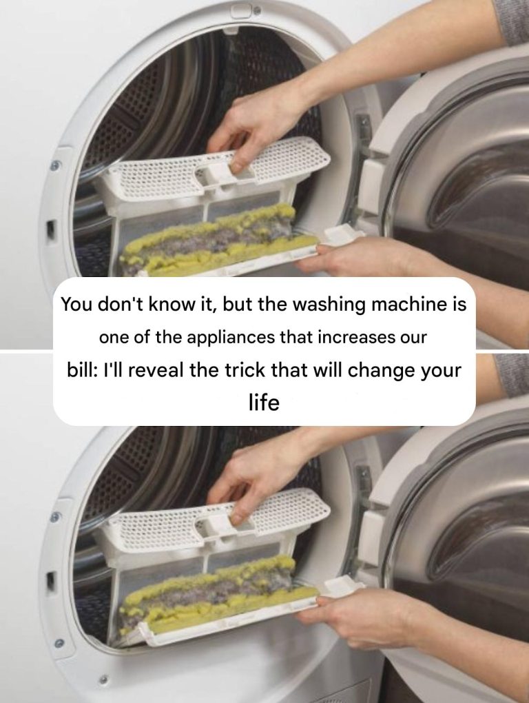 481077371 1018329893495587 4283146111102731150 N