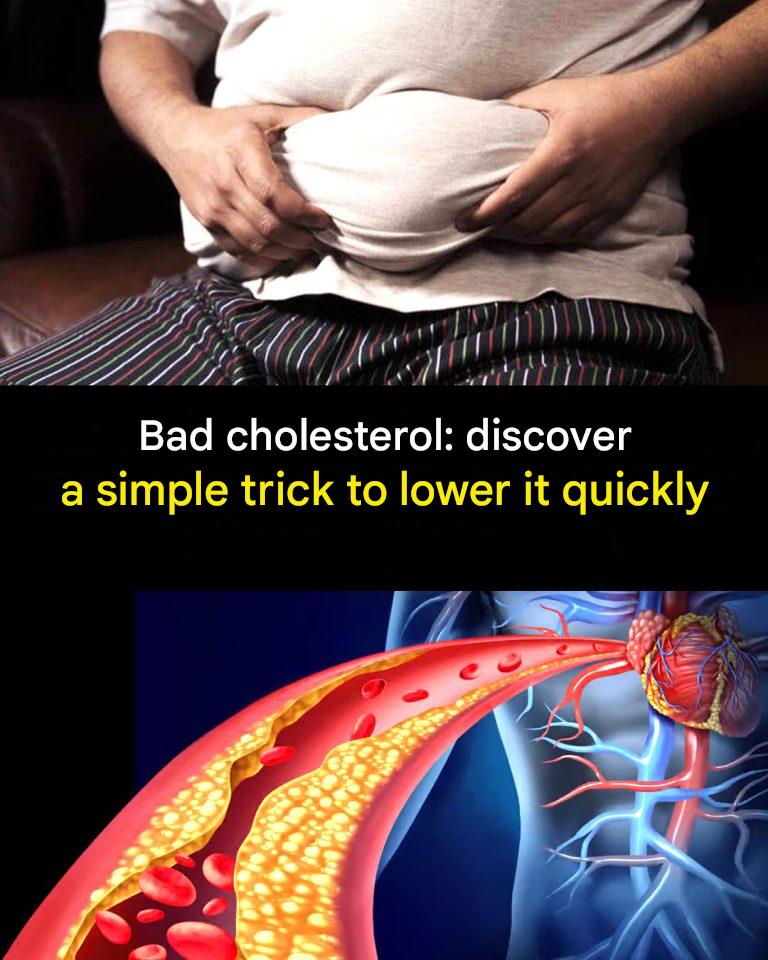481239717 1048413767323198 5674670532156824219 N 768x960 1 (1)