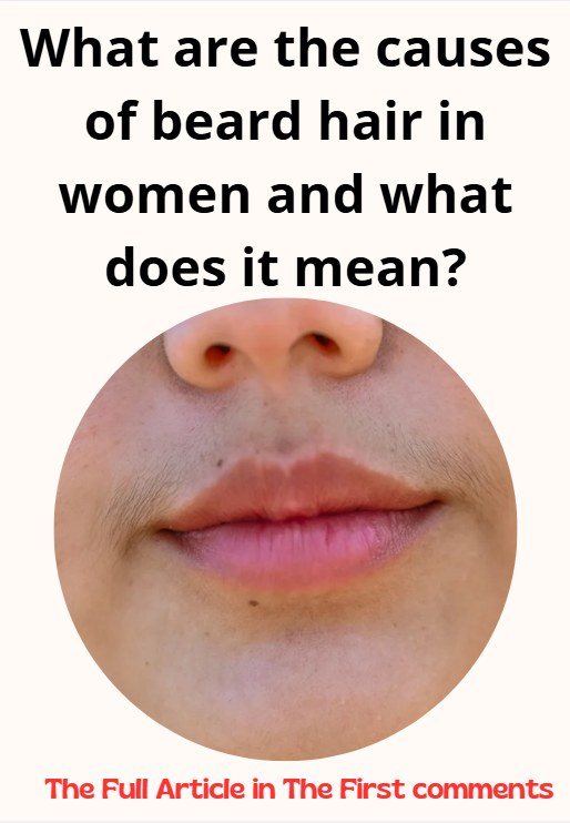 481304193 607684092082979 4468877335234731509 N