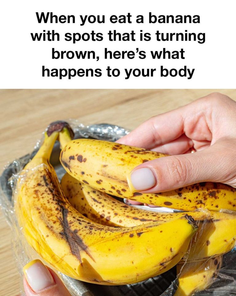 481674568 1167013778544915 3617752650469565856 N 1
