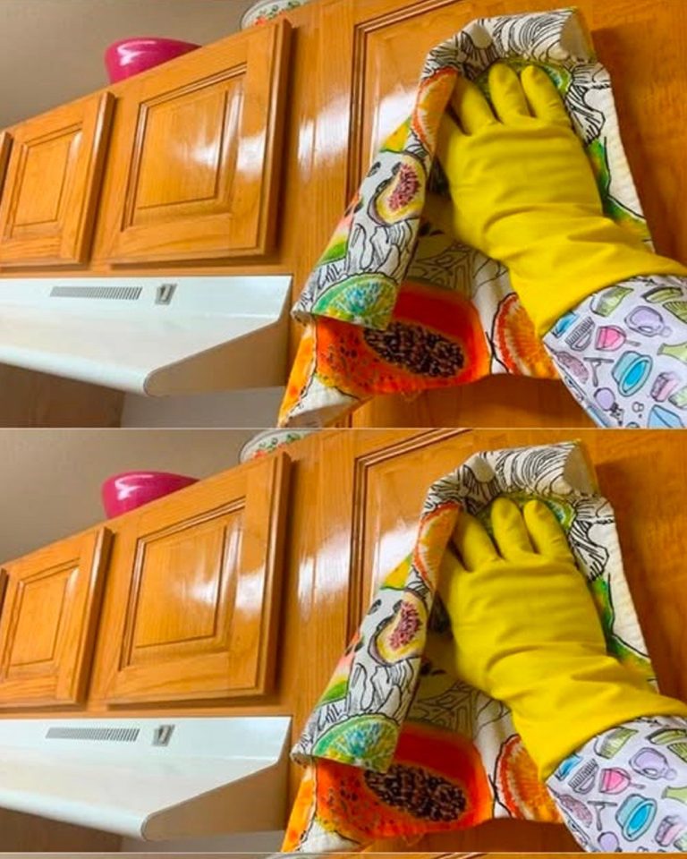 481951905 3901393376843874 4461411599076686707 N