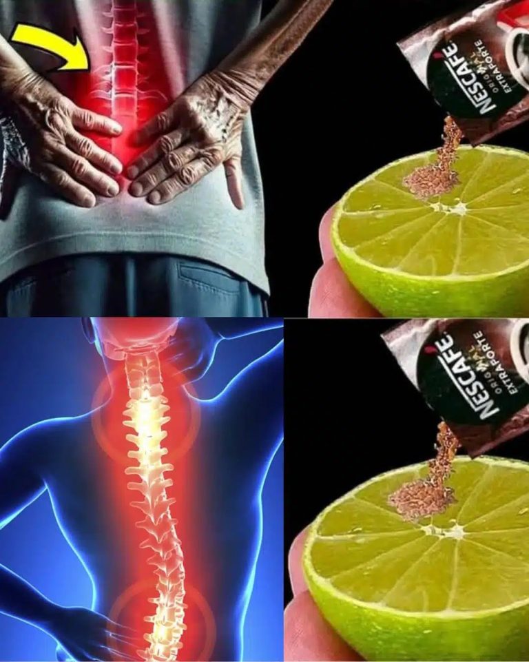 483936097 684689643987635 3924601629489508896 N
