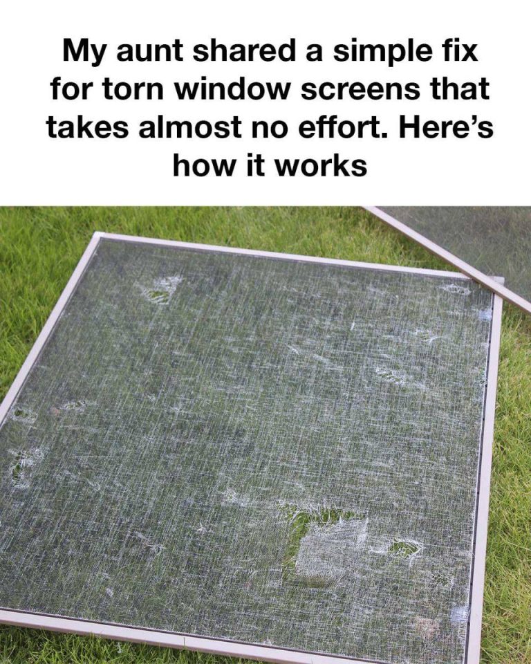 484029100 122157937304362977 8394816836306610878 N