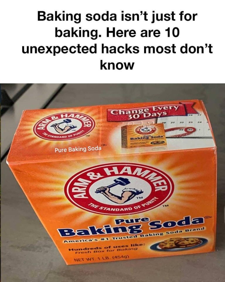 484036807 662402946238681 4906563519844870559 N (1)