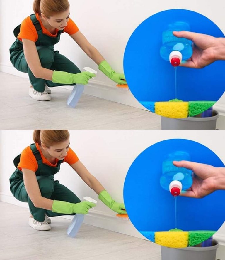 484095275 627064523636962 2271076028582263949 N