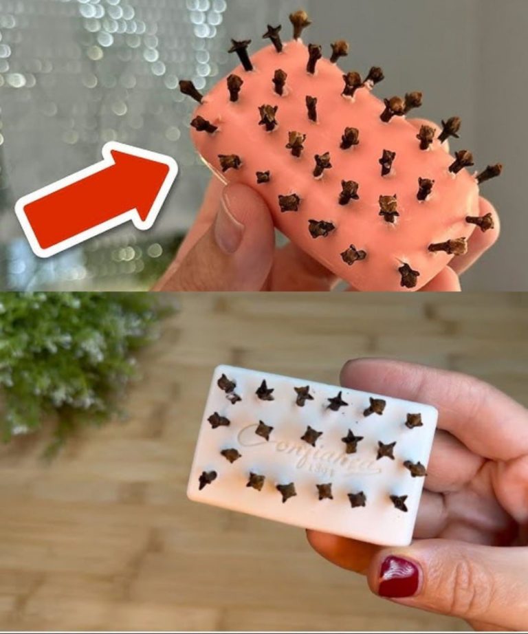485719492 626958856967286 4349266905327615280 N