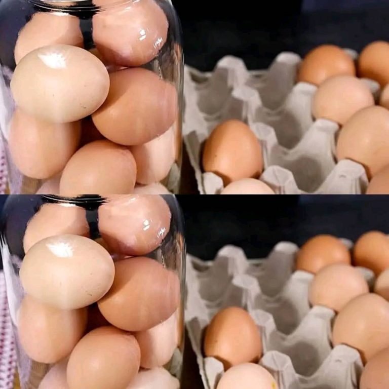 485727077 122148842840479463 8533668822351941412 N
