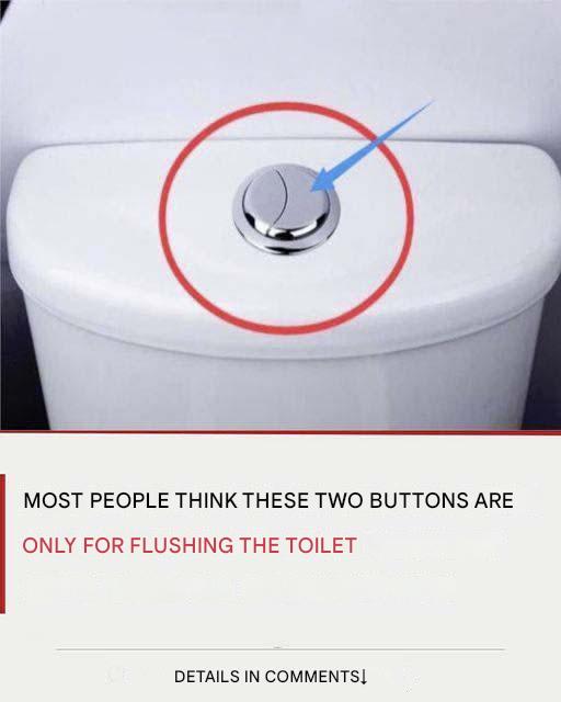 Beaucoup De Gens Pensent Que Ces 2 Boutons Servent Uniquement 1 (2)