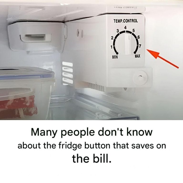 Le Refrigerateur A Un Petit Bouton Qui Peut Economiser Sur Votre Facture Denergie (1)
